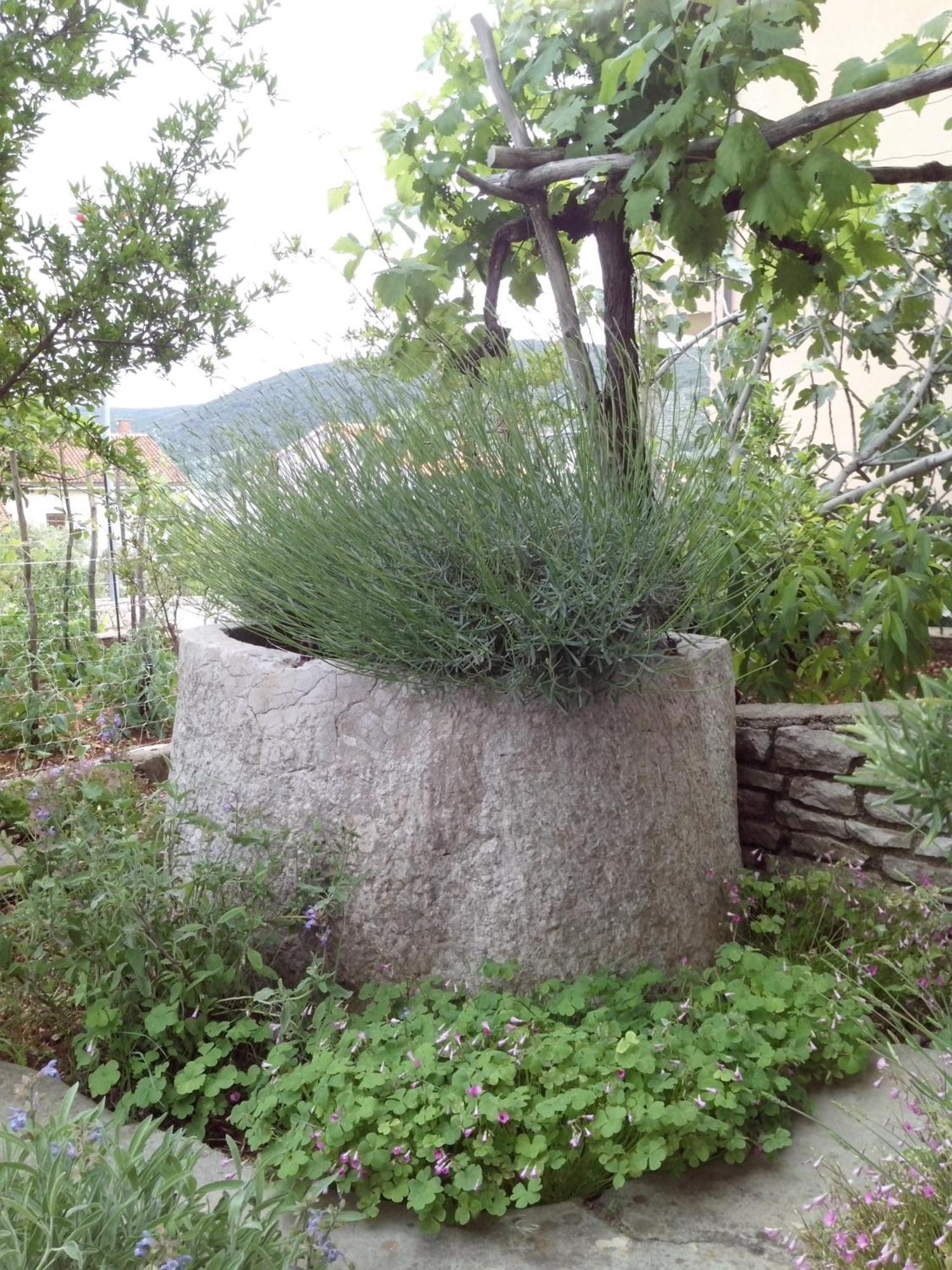 Izabela Muzic-fornaric * Cres
